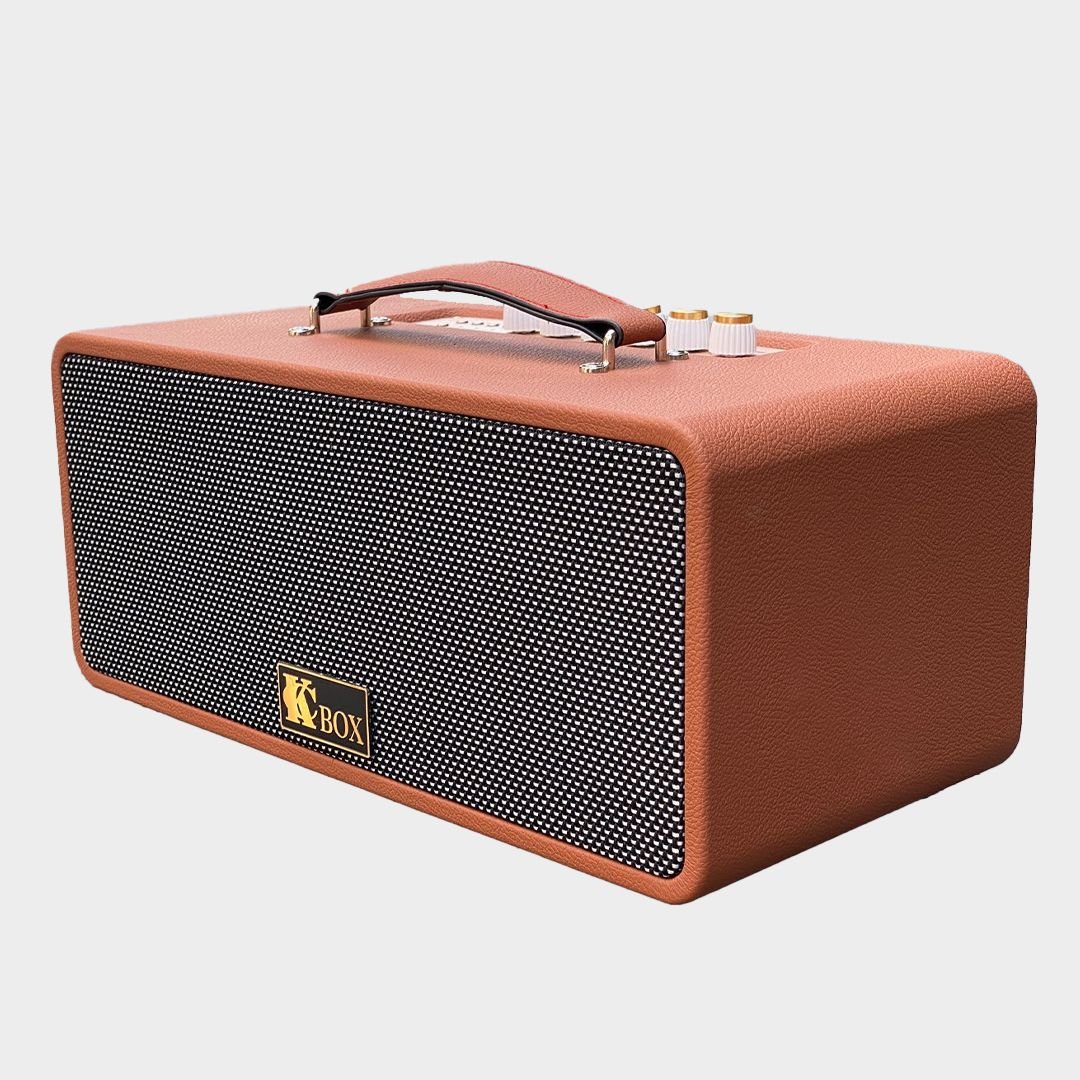 Tổng hợp các loại loa karaoke phổ biến nhất hiện nay